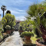 Sunlit garden pathway lined with lush greenery and potted plants.