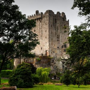 A historic stone castle tower surrounded by greenery and trees.