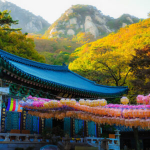 38877751715_c0a99a8286_o