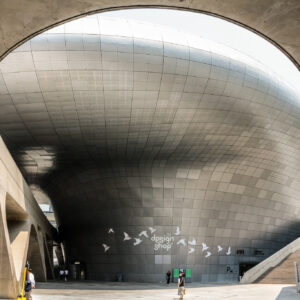 46888303601_4d5a7b33c5_k