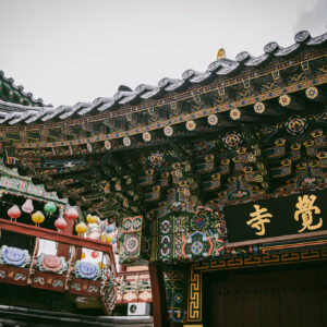 53663502224_e19c951323_k